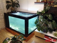 DIY锦鲤鱼缸