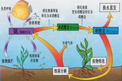 化学过滤