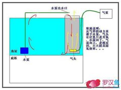 过滤原理之---反气举