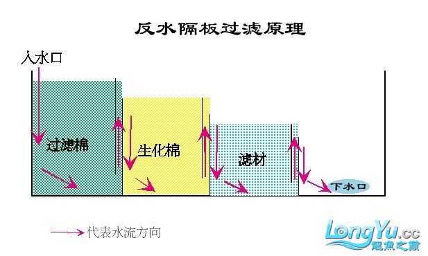 反水隔板.jpg